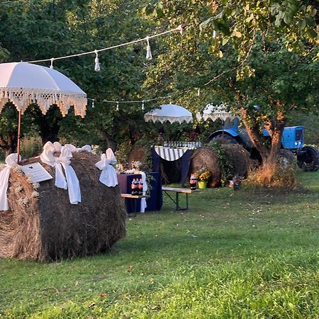 Guest House Zirga Smaids Kušneri المظهر الخارجي الصورة